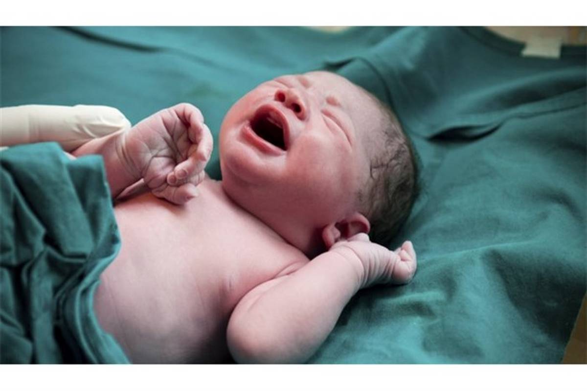 کاهش آمار ولادت در آستانه اشرفیه