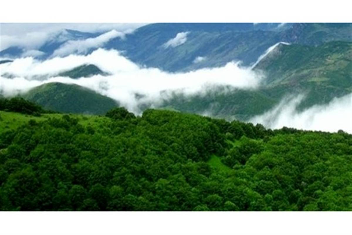 استاندار آذربایجان شرقی:  نباید اجازه دهیم جنگل‌های ارسباران به سرنوشت دریاچه ارومیه دچار شود
