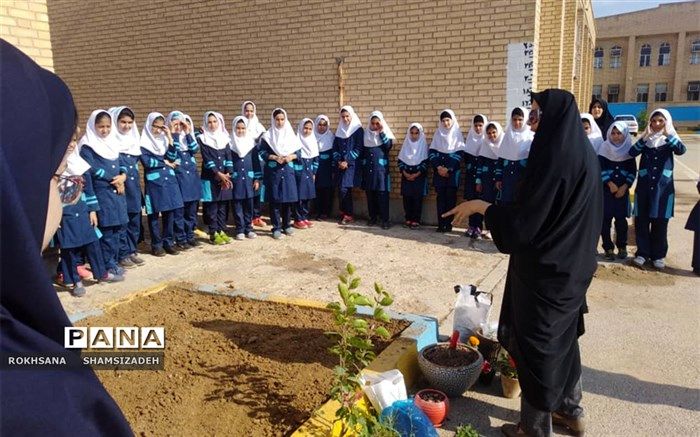 آموزش  کاشت و نگهداری گل وگیاه در مدارس شهرستان امیدیه برگزار شد