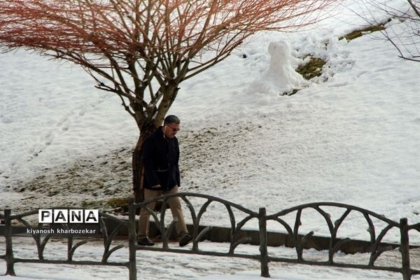 یک روز برفی در پارک گللر باغی ارومیه