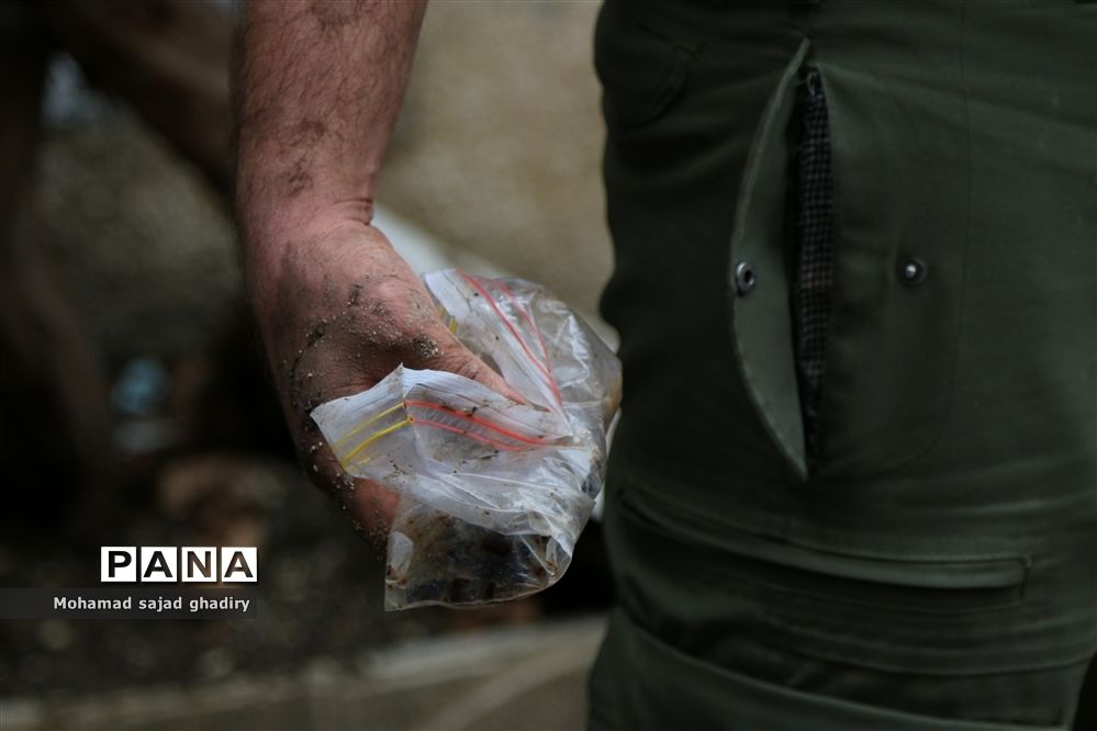 آغاز عملیات گسترده پلیس برای جمع‌آوری معتادان متجاهر و پاکسازی مناطق