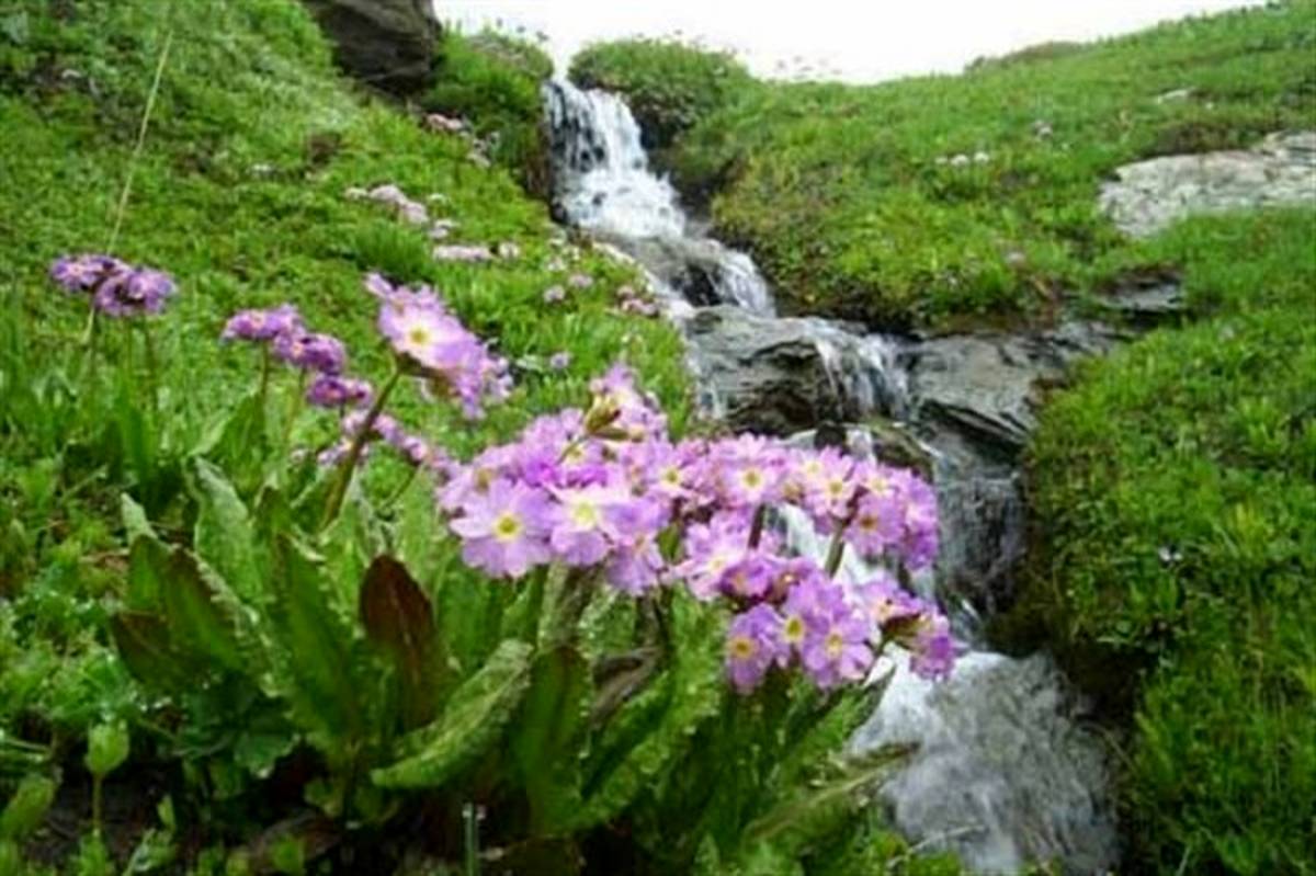 دریاچه مارمیشو و آبشار سوله دوکل ارومیه ثبت ملی می شوند