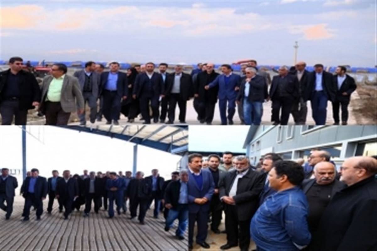 وزیر جهادکشاورزی به همراه استاندار قزوین از یک واحد دامداری در بوئین زهرا بازدید کرد