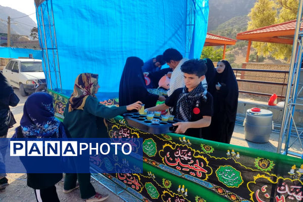 پذیرایی موکب‌ها از جاماندگان اربعین حسینی در دیشموک