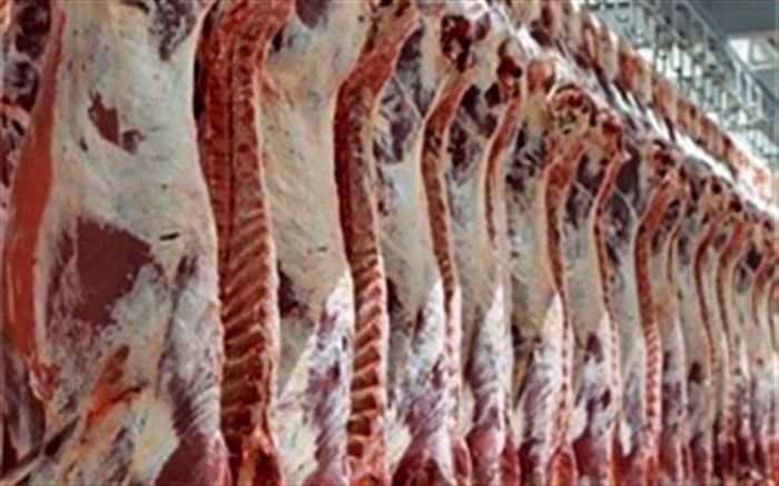 قاچاق دام زنده و گرانی گوشت گوسفندی به روایت رئیس سابق اتحادیه دامداران