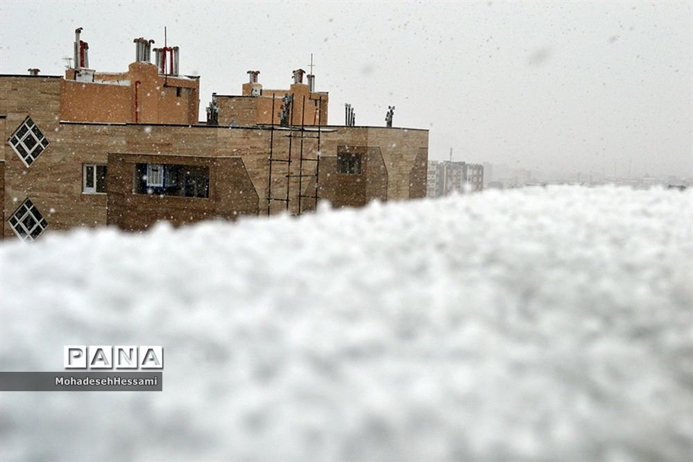 لباس سفید زمستان بر تن بیرجند