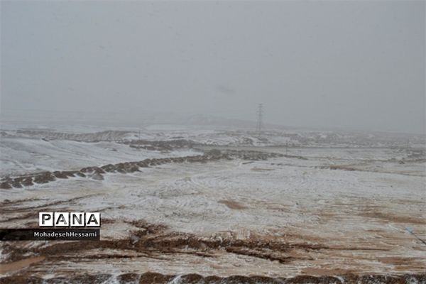 لباس سفید زمستان بر تن بیرجند