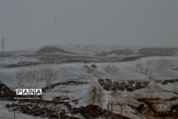 لباس سفید زمستان بر تن بیرجند