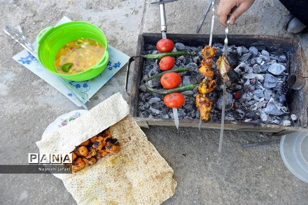 برگزاری جشنواره غذای سالم در زرین دشت