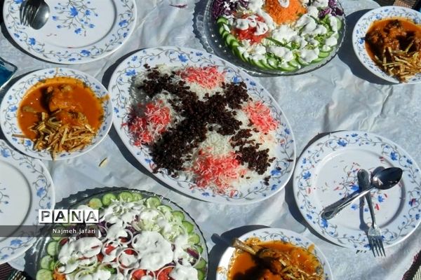 برگزاری جشنواره غذای سالم در زرین دشت