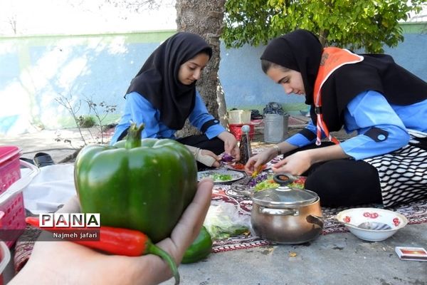 برگزاری جشنواره غذای سالم در زرین دشت