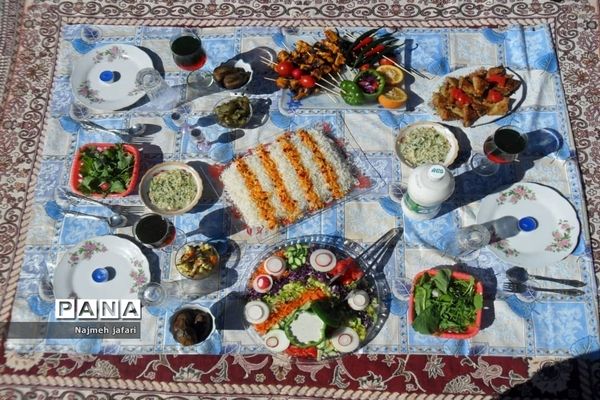 برگزاری جشنواره غذای سالم در زرین دشت