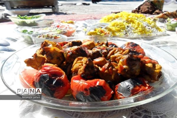 برگزاری جشنواره غذای سالم در زرین دشت