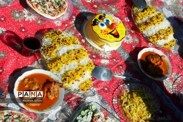 برگزاری جشنواره غذای سالم در زرین دشت