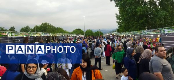 چهارمین جشنواره آلوچه در شهرستان صومعه‌سرا