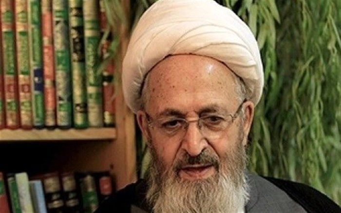 انتقاد آیت‌الله سبحانی از فرهنگ غلط ‌تک‌فرزندی در ایران