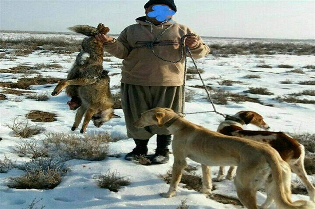 فضای مجازی شکارچی غیرمجاز روباه را در سردشت گرفتار کرد
