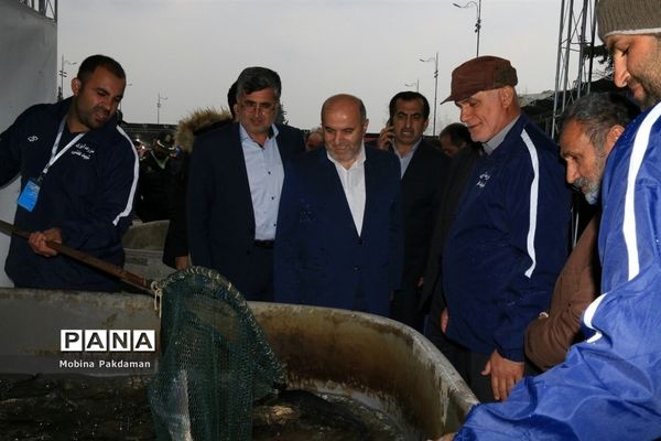 جشنواره عرضه و طبخ آبزیان در ساری