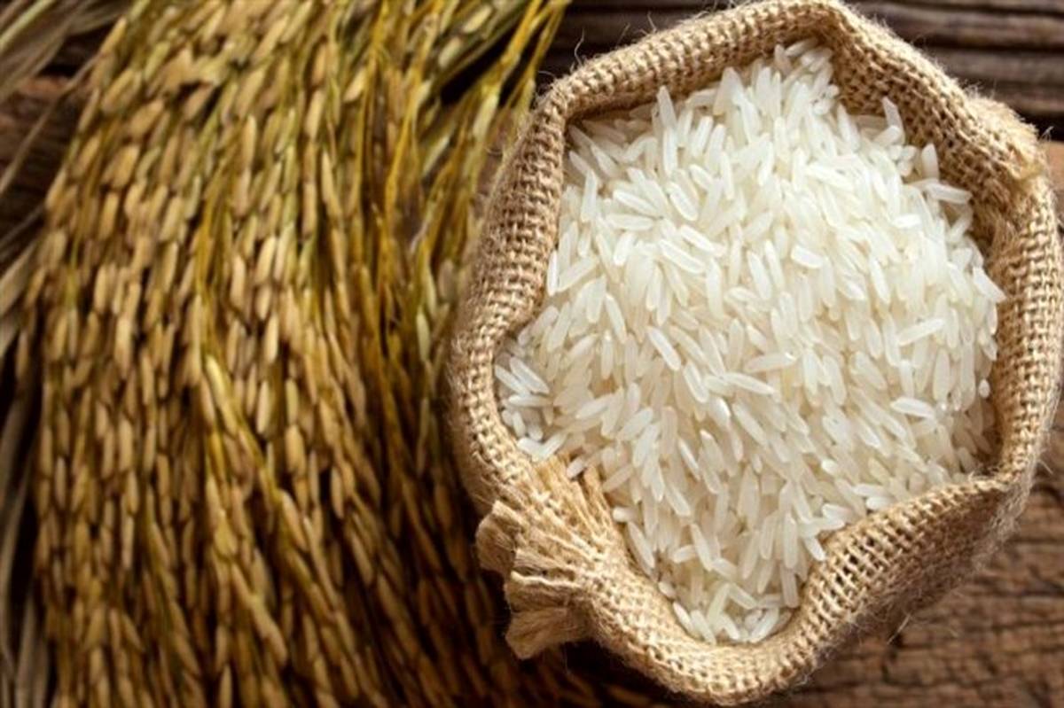 820 تن برنج دولتی در مازندران توزیع می‌شود