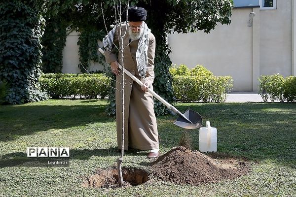 غرس دو اصله نهال میوه توسط رهبر معظم انقلاب