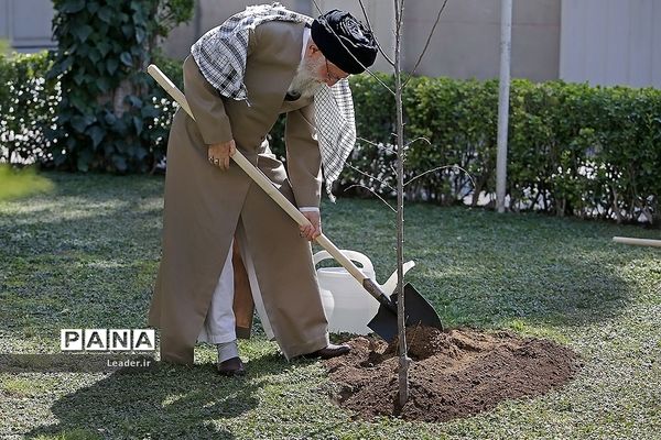 غرس دو اصله نهال میوه توسط رهبر معظم انقلاب