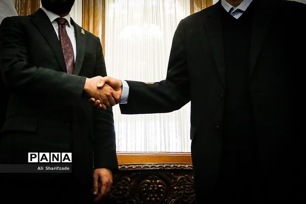 دیدار علی لاریجانی با رئیس مجلس عراق