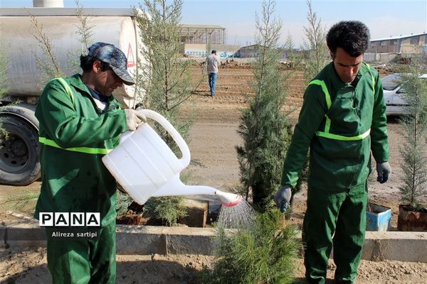 مراسم روز درخت کاری در شهرقدس