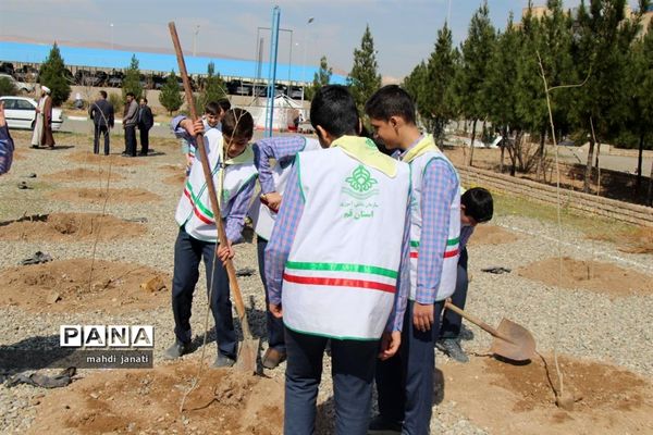 جشن درختکاری در استان قم