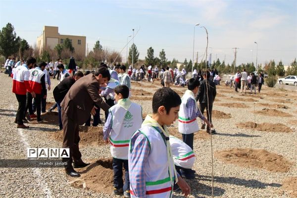 جشن درختکاری در استان قم