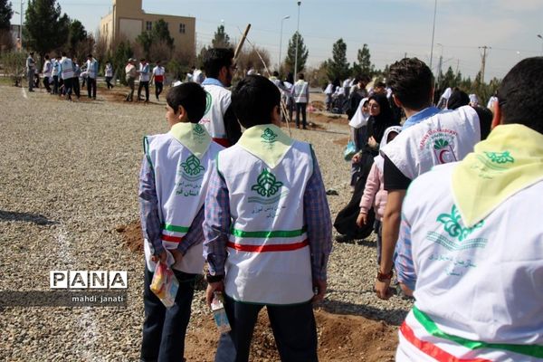 جشن درختکاری در استان قم