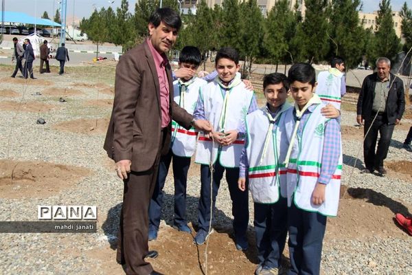 جشن درختکاری در استان قم