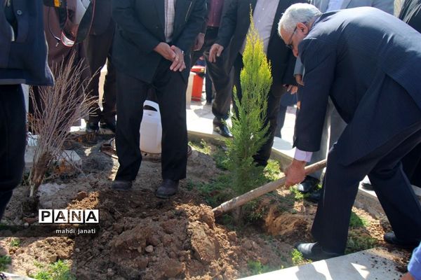 جشن درختکاری در استان قم