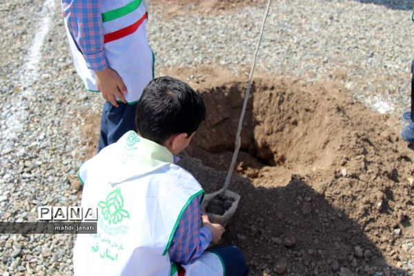 جشن درختکاری در استان قم