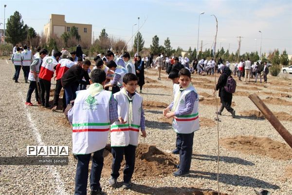 جشن درختکاری در استان قم