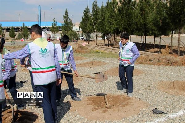 جشن درختکاری در استان قم