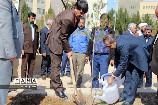 جشن درختکاری در استان قم
