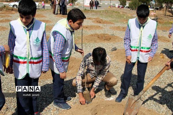 جشن درختکاری در استان قم
