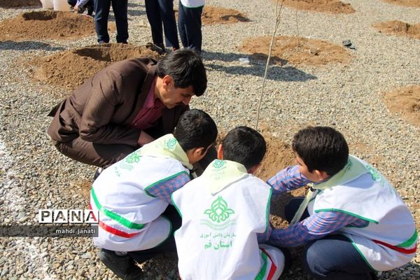 جشن درختکاری در استان قم