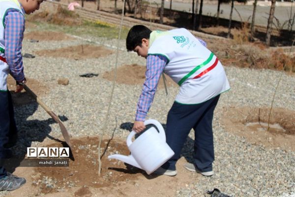 جشن درختکاری در استان قم