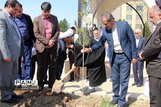 جشن درختکاری در استان قم