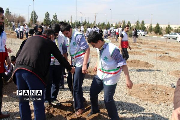 جشن درختکاری در استان قم