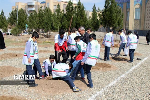 جشن درختکاری در استان قم