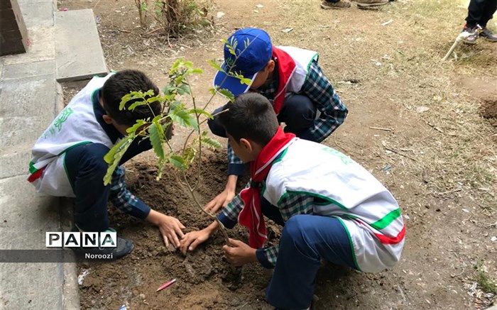 اجرای آیین درختکاری در مدارس ناحیه 2 اهواز