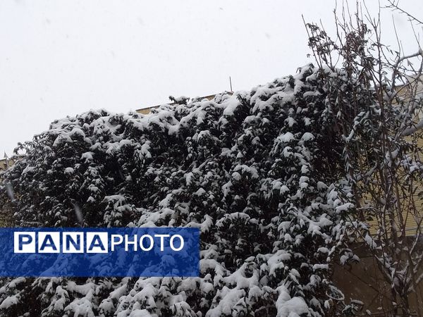 بارش برف شدید و سفید پوش شدن شهر زیبای مشهد 