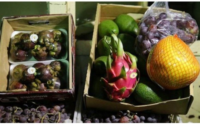 کشف میوه‌های قاچاق در میدان مرکزی پایتخت