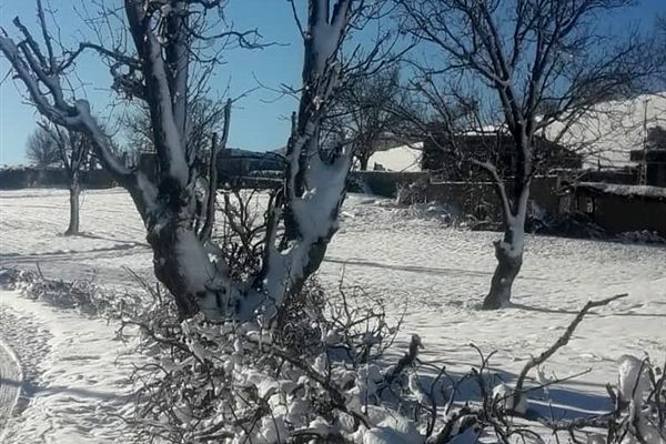 روستای سررگ از توابع شهرستان دهدز در خوزستان سپید پوش شد