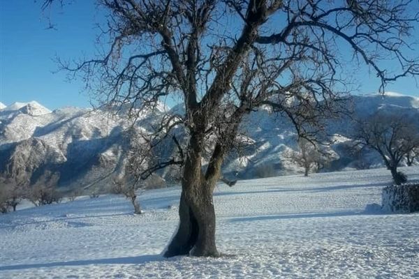 روستای سررگ از توابع شهرستان دهدز در خوزستان سپید پوش شد