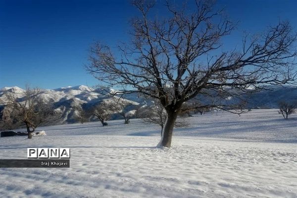 روستای سررگ از توابع شهرستان دهدز در خوزستان سپید پوش شد