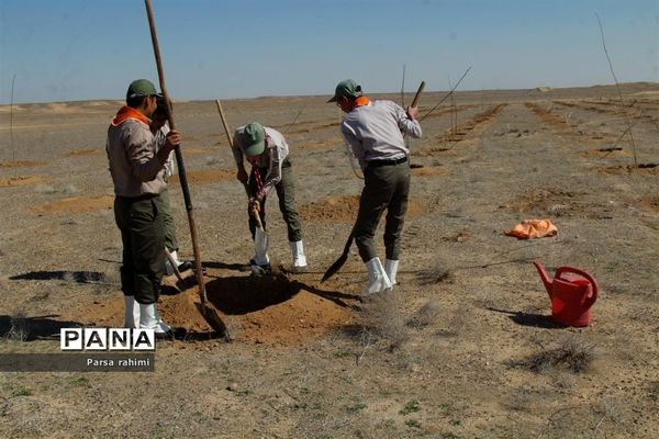 مراسم ویژه روز درختکاری در بوستان ثامن قم