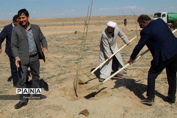 مراسم ویژه روز درختکاری در بوستان ثامن قم